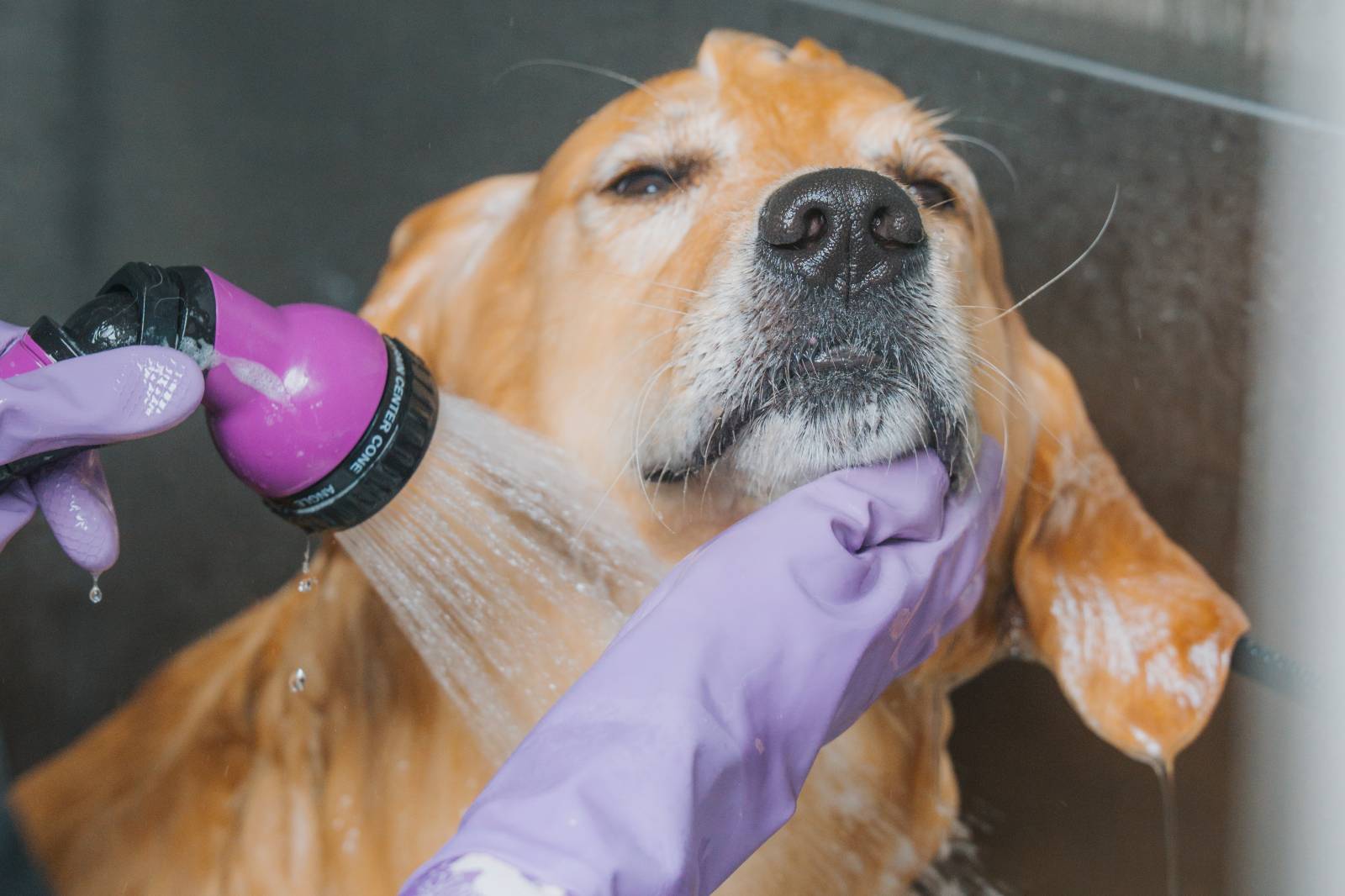 DIAMOND BATH & BRUSH